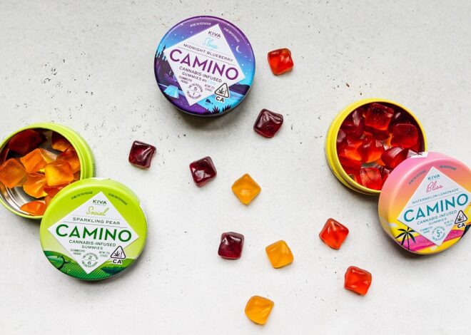 How to Choose The Best THC-O Gummies for your body